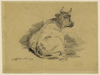 Drawing, Study of a Lying Cow