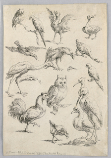 Print, Assortment of Birds, from the "Recueil de differentes études d'animaux..."