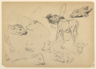 Drawing, Studies of Cattle, Heads of Sheep and a Hog