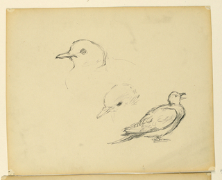 Drawing, Study for "The Beneficence of the Law," Essex County Courthouse, Newark, NJ