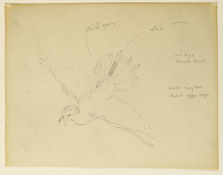 Drawing, Study for "The Beneficence of the Law," Essex County Courthouse, Newark, NJ