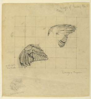 Drawing, Study for "Genius," "The Arts," Library of Congress, Washington D.C.