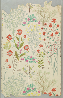 Sidewall, Desert Flowers