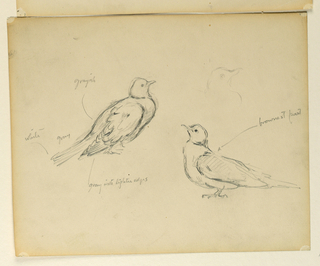 Drawing, Study for "The Beneficence of the Law," Essex County Courthouse, Newark, NJ