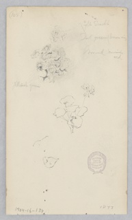 Drawing, Flowers