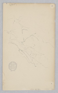 Drawing, Tree Branch