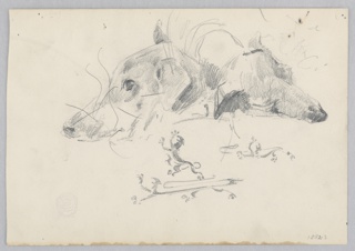 Drawing, Dog and lion