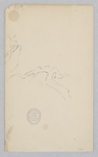 Drawing, Tree Branch