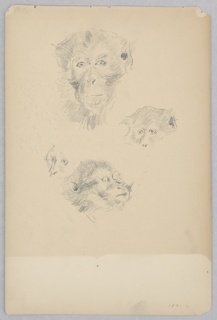 Drawing, Monkey