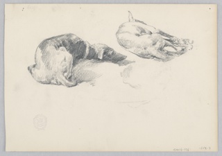 Drawing, Dogs