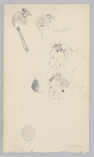 Drawing, Money and Marmoset