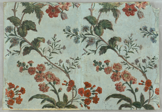 Sidewall - Fragment (France)