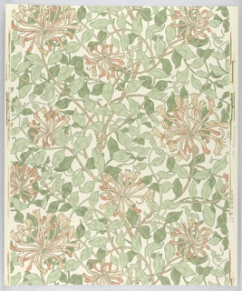 Sidewall, Honeysuckle