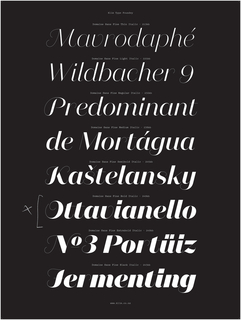 Specimen, Domaine Sans Italic typeface