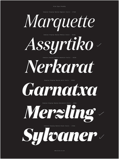 Specimen, Domaine Display Italic typeface