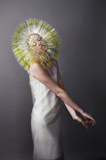 Atmospheric Reentry, from Atmospheric Reentry collection