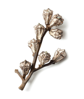 Brooch, Eucalyptus