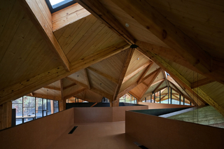 Photograph, Forest Building