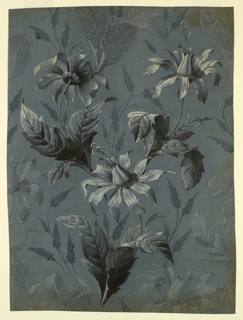 Drawing, Design for Wallpaper or Textile with Unidentified Flower and Repeat