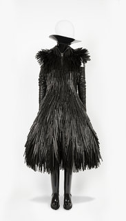 Ensemble, from Fall / Winter 2015 Ready-to-Wear collection