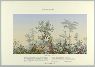 Scenic - Portfolio, Scenic Portfolio