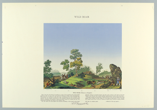 Scenic - Portfolio, Scenic Portfolio