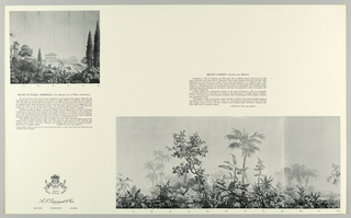 Scenic - Portfolio, Scenic Portfolio