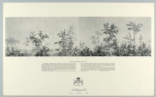 Scenic - Portfolio, Scenic Portfolio