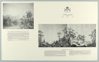 Scenic - Portfolio, Scenic Portfolio