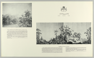 Scenic - Portfolio, Scenic Portfolio