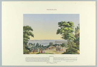 Scenic - Portfolio, Scenic Portfolio