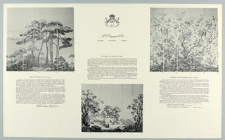 Scenic - Portfolio, Scenic Portfolio