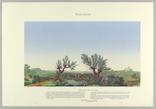 Scenic - Portfolio, Scenic Portfolio