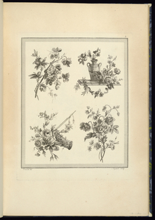 Print, Floral and Fruit Ornament Designs