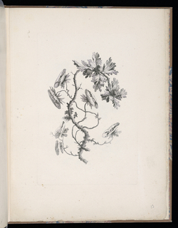 Print, Spray of Flowers