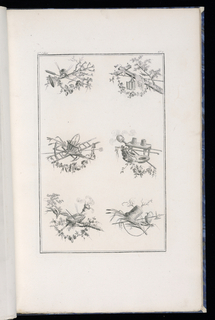 Print, Trophy Designs