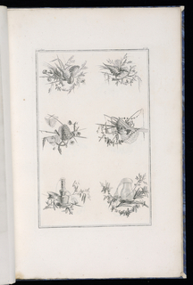 Print, Trophy Designs