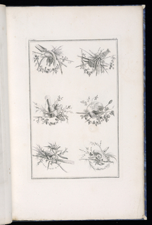 Print, Trophy Designs