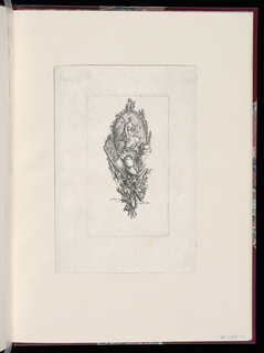 Print, Trophy Design