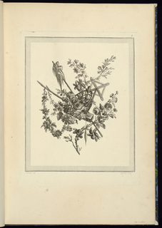 Print, Trophy Design