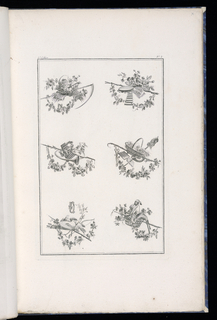 Print, Trophy Designs