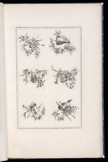 Print, Trophy Designs