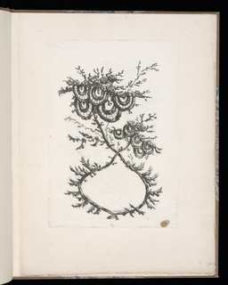 Print, Spray of Flowers