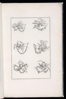 Print, Trophy Designs