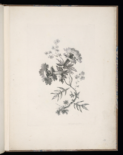 Print, Spray of Flowers