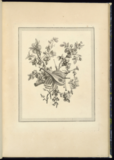 Print, Musical Trophy Design