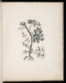 Print, Spray of Flowers