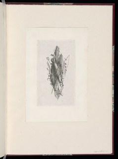 Print, Trophy Design