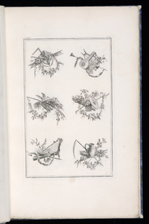 Print, Trophy Designs