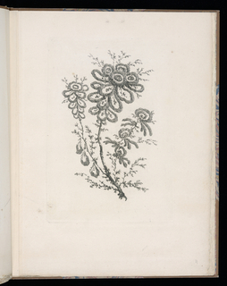 Print, Spray of Flowers